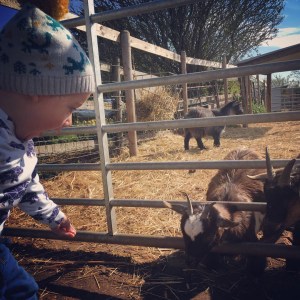 127FC66E-1AAE-4EA4-966E-99C9EAEE472A